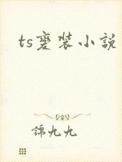 ts变装小说