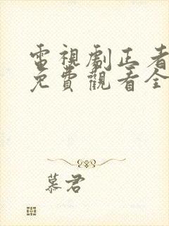 电视剧正者无敌免费观看全集