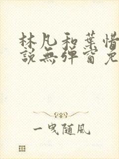 林凡和叶惜的小说无弹窗免费阅读封面