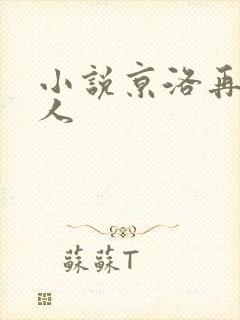 小说京洛再无佳人封面