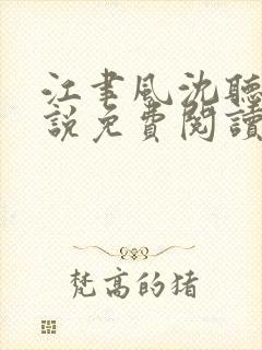 江聿风沈听晚小说免费阅读最新章节