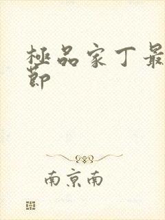 极品家丁最新章节封面