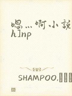 嗯…啊小说[高h]np