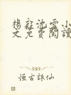 杨毅沈雪小说全文免费阅读