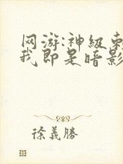 网游:神级刺客我即是暗影封面