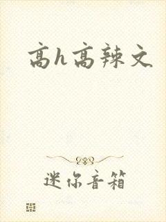 高h高辣文封面