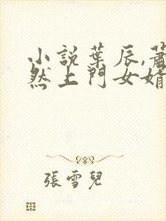 小说叶辰,萧初然上门女婿封面