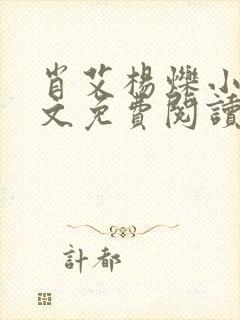 肖艾杨烁小说全文免费阅读笔趣阁