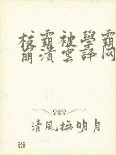 校霸被学霸玩到崩溃云译网