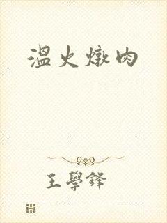温火炖肉