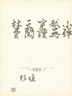 林天穿越小说免费阅读无弹窗