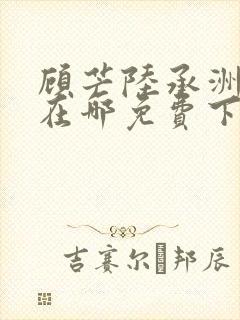 顾芒陆承洲小说在哪免费下载封面