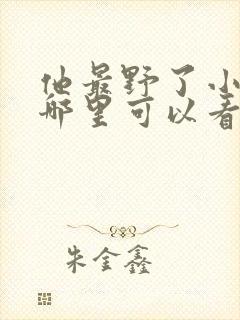 他最野了小说在哪里可以看