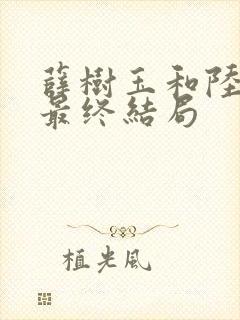 薛树玉和陆江来最终结局封面