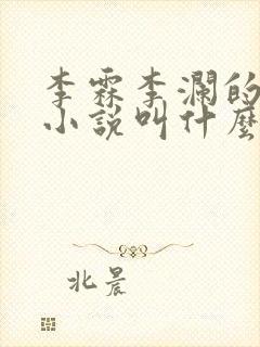 李霖李澜的官场小说叫什么名字啊