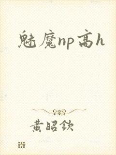 魅魔np高h封面