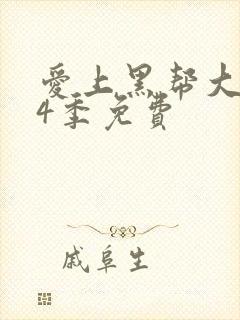 爱上黑帮大佬第4季免费