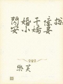 闪婚千亿总裁吻安小娇妻