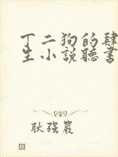 丁二狗的肆意人生小说听书