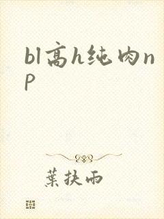 bl高h纯肉np