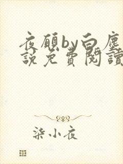 夜愿by白尘小说免费阅读笔趣阁无弹窗