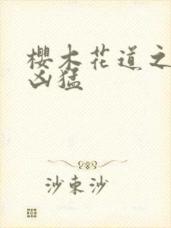 樱木花道之重生凶猛