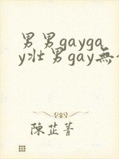 男男gaygay壮男gay无套