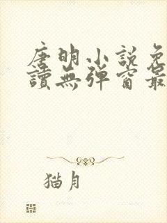 唐明小说免费阅读无弹窗最新章节下载