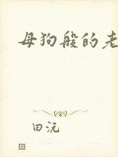 母狗般的老师封面