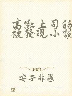 高傲上司的秘密被发现小说免费阅读