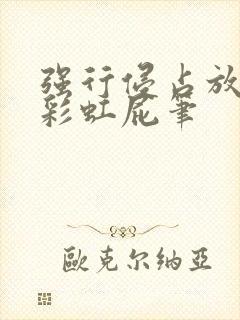 强行侵占放了个彩虹屁笔封面