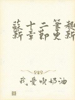 苏十二笔趣阁最新章节更新内容封面