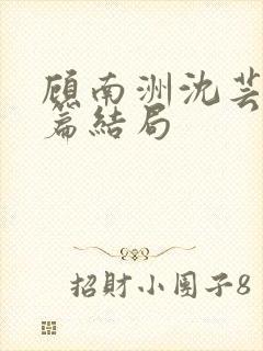 顾南洲沈芸番外篇结局封面