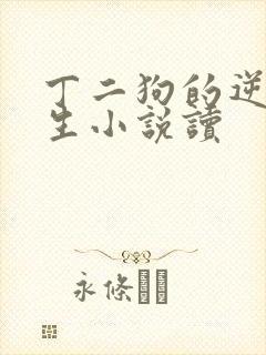 丁二狗的逆袭人生小说读