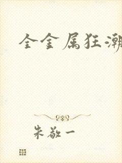 全金属狂潮小说