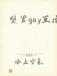 双男gay互操