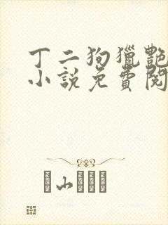 丁二狗猎艳人生小说免费阅读