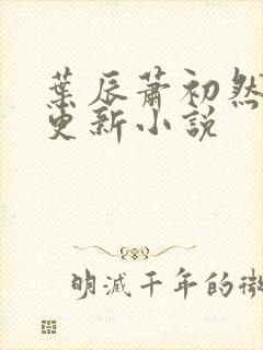 叶辰萧初然最快更新小说