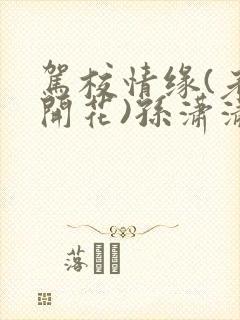 驾校情缘(老树开花)孙潇潇笔趣阁