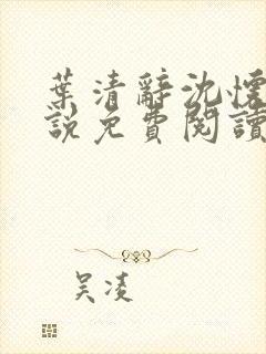 叶清辞沈怀瑾小说免费阅读最新章节