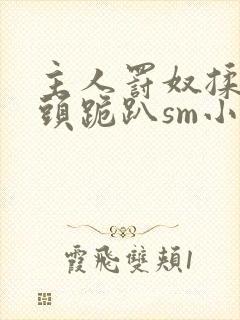 主人罚奴揉捏奶头跪趴sm小说