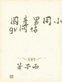 国产男同小鲜肉gv网站