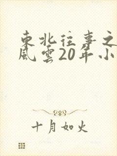 东北往事之黑道风云20年小说封面