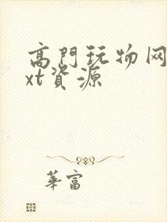 高门玩物网盘txt资源