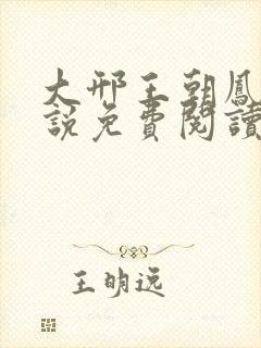 大邢王朝凤卿小说免费阅读