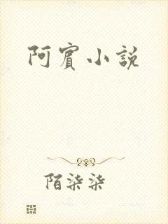 阿宾小说