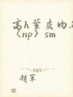 高h荤爽肉欲文〈np〉sm