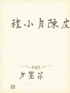 程小月陈皮皮封面