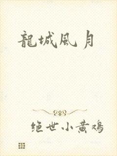 龙城风月封面