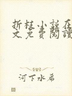 折枝小说在线全文免费阅读无弹窗